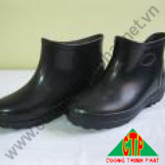 Ủng thấp mắt cá TGP LD011
