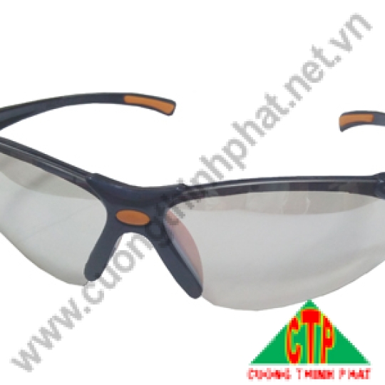 Kính bảo hộ KG313